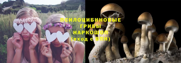 прущие крисы Армянск