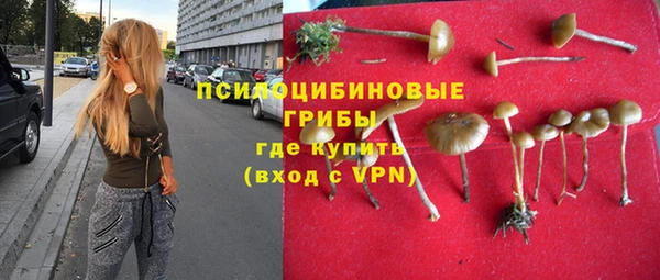гашик Протвино