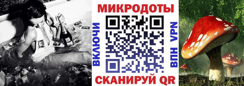 Псилоцибиновые грибы мицелий  Барыш 